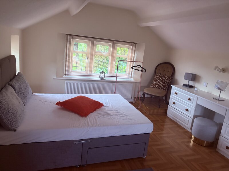 Fete +18, dragute si sociabile UK